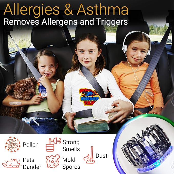 Car Air Purifier Ionizer - 12V Plug-in Ionic Anti-Microbial Car Deodorizer with Dual USB Charger - Smoke Smell, Pet and Food