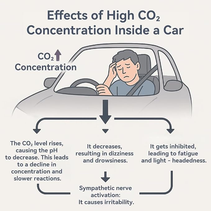 Car CO2 Monitor, Plug-in, No Battery Needed, Real-Time 10s Sampling, Rotatable Color Screen, Beep Alarm for High CO2, Fits