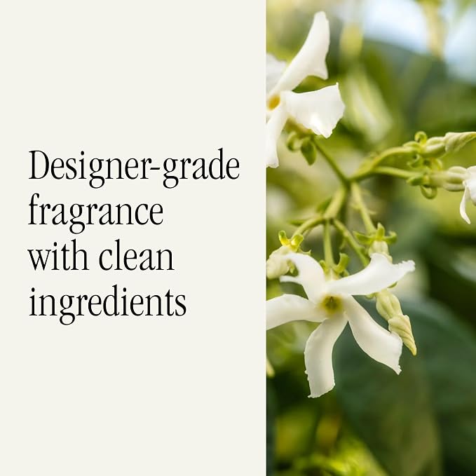 Car Scent Refill - Fragrance for Car Diffuser - Clean & Safe Luxury Diffuser Scent, alternate product view 4