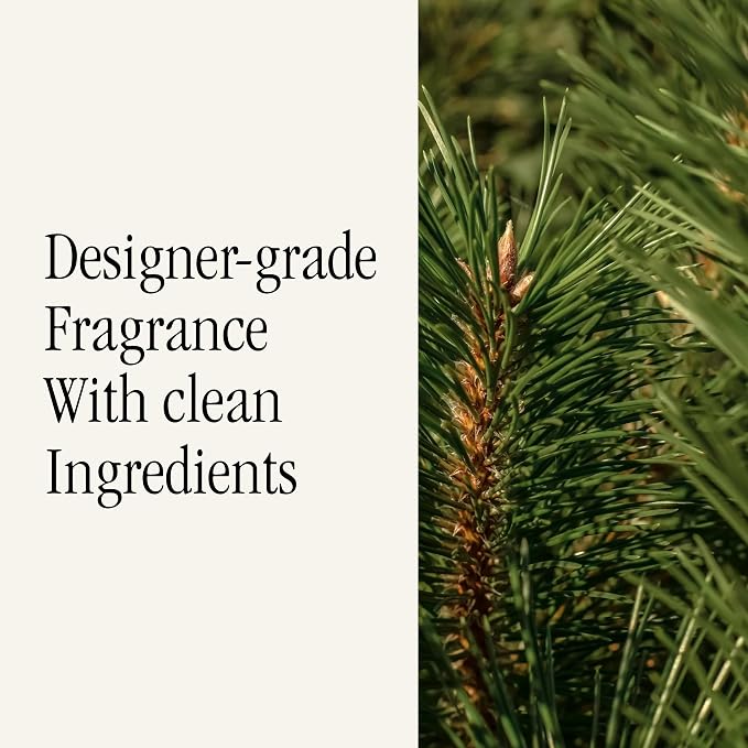 Car Scent Refill - Fragrance for Car Diffuser - Clean & Safe Luxury Diffuser Scent, alternate product view 4