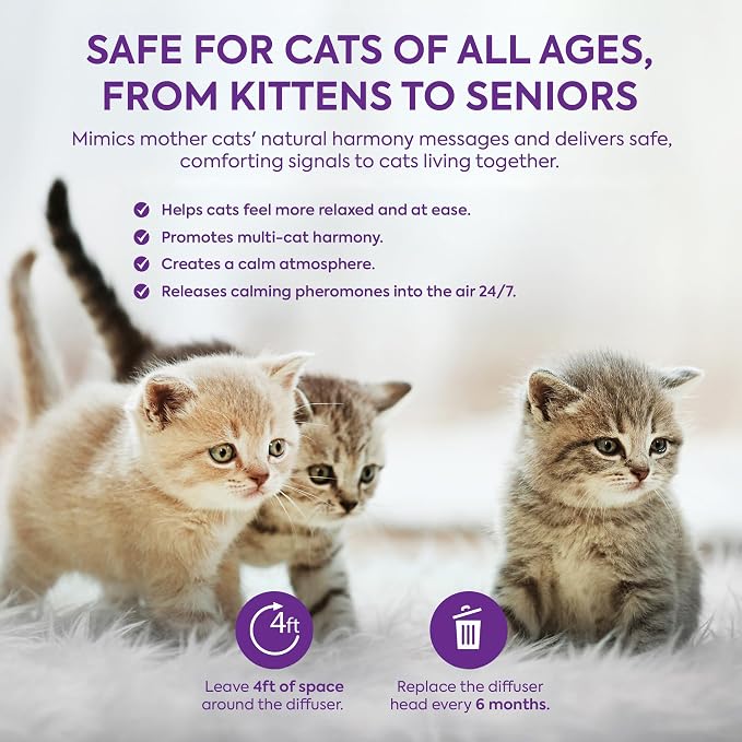 Cat Calming Diffuser Refill: 1 Refill Cat Pheromones Calming Diffuser Refill – Helps Reduce Scratching Peeing Meowing Hiding
