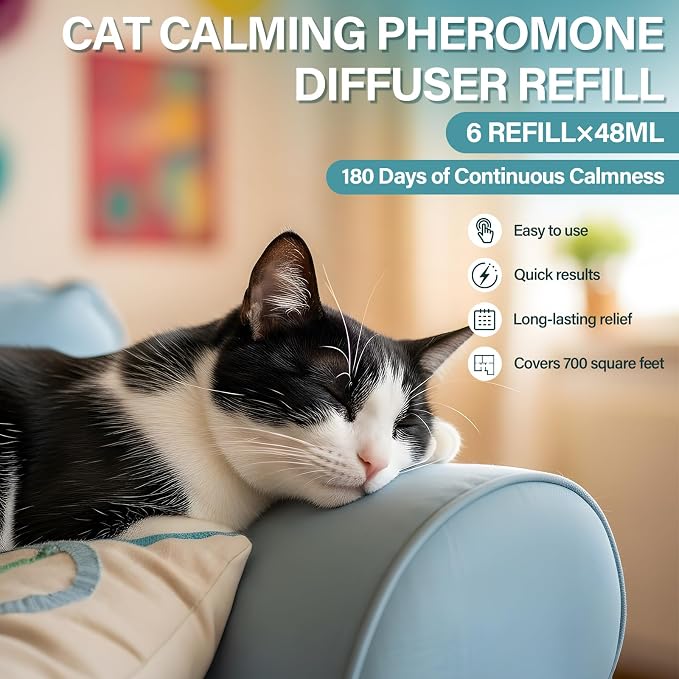 Cat Calming Diffuser Refill 6 Pack Cat Calming Pheromone Diffuser Refill Cat Plug in Pheromones Cat Stress Diffuser Cat