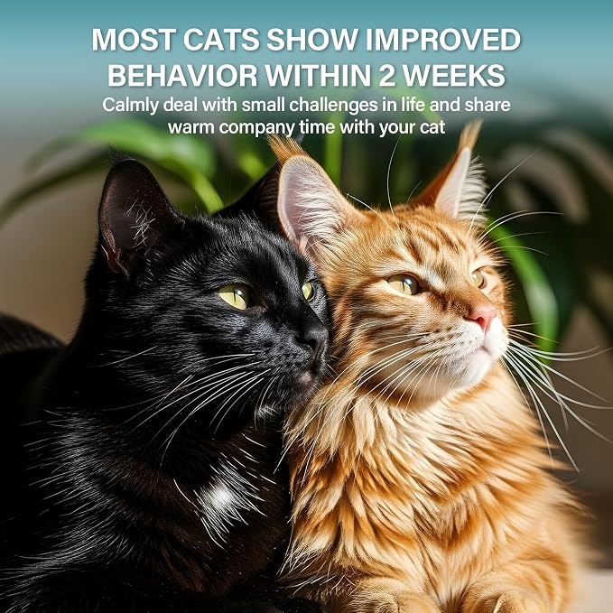 Cat Calming Diffuser Refill 6 Pack Cat Calming Pheromone Diffuser Refill Cat Plug in Pheromones Cat Stress Diffuser Cat