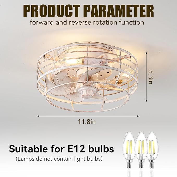 Ceiling Fan with Light and Remote, Modern Flush Mount Fan Lights Cage Ceiling Fixture, Bladeless 12 in 6 Speeds Fans with