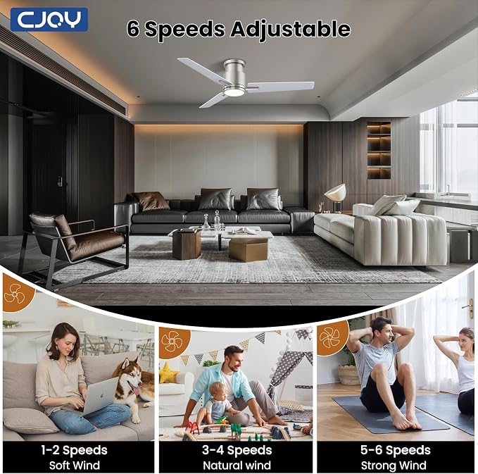 Ceiling Fan with Lights, 52 Inch Low Profile Ceiling Fans with Light and Remote, Reversible DC, Flush Mount, 3CCT,Dimmable
