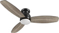 Ceiling Fan with Lights, Indoor & Outdoor Ceiling Fan, 48" Low Profile DC Smart, Compatible with Alexa, Siri, Google Home &