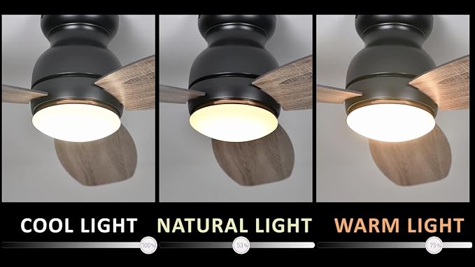 Ceiling Fan with Lights, Indoor & Outdoor Ceiling Fan, 48" Low Profile DC Smart, Compatible with Alexa, Siri, Google Home &