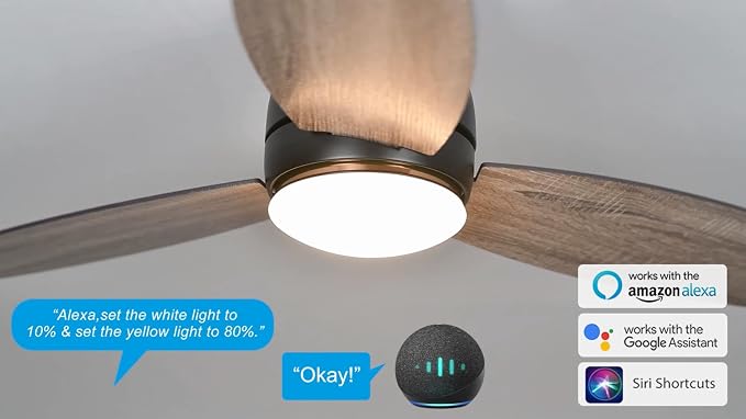 Ceiling Fan with Lights, Indoor & Outdoor Ceiling Fan, 48" Low Profile DC Smart, Compatible with Alexa, Siri, Google Home &