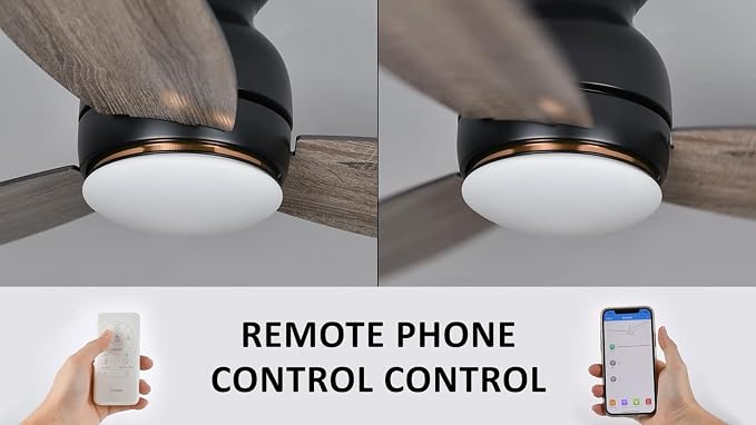 Ceiling Fan with Lights, Indoor & Outdoor Ceiling Fan, 48" Low Profile DC Smart, Compatible with Alexa, Siri, Google Home &