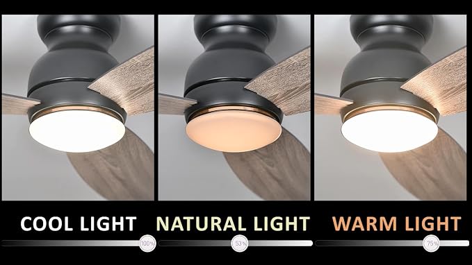 Ceiling Fan with Lights, Indoor & Outdoor Ceiling Fan, 60" Low Profile DC Smart, Compatible with Alexa, Siri, Google Home &