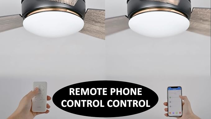 Ceiling Fan with Lights, Indoor & Outdoor Ceiling Fan, 60" Low Profile DC Smart, Compatible with Alexa, Siri, Google Home &