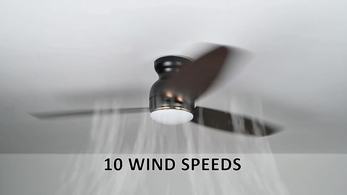 Ceiling Fan with Lights, Indoor & Outdoor Ceiling Fan, 60" Low Profile DC Smart Ceiling Fan Compatible with Alexa, Siri