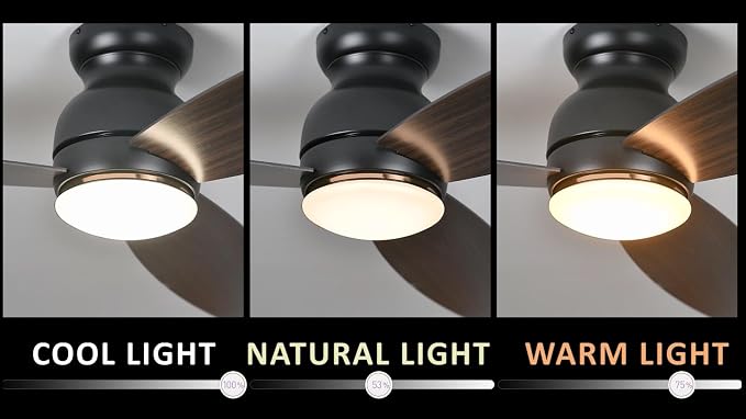 Ceiling Fan with Lights, Indoor & Outdoor Ceiling Fan, 60" Low Profile DC Smart Ceiling Fan Compatible with Alexa, Siri