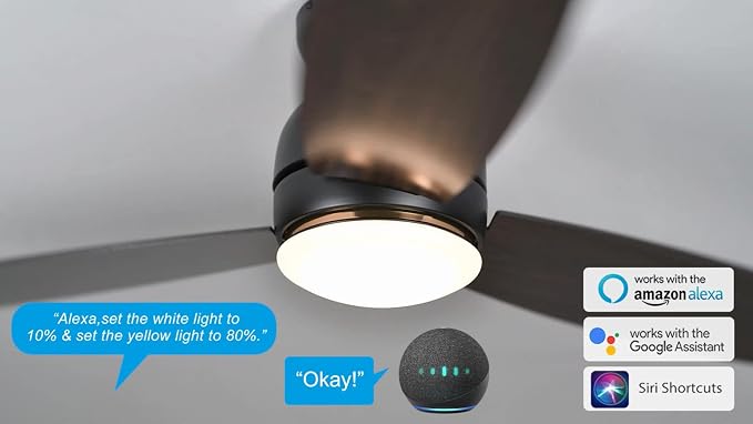 Ceiling Fan with Lights, Indoor & Outdoor Ceiling Fan, 60" Low Profile DC Smart Ceiling Fan Compatible with Alexa, Siri
