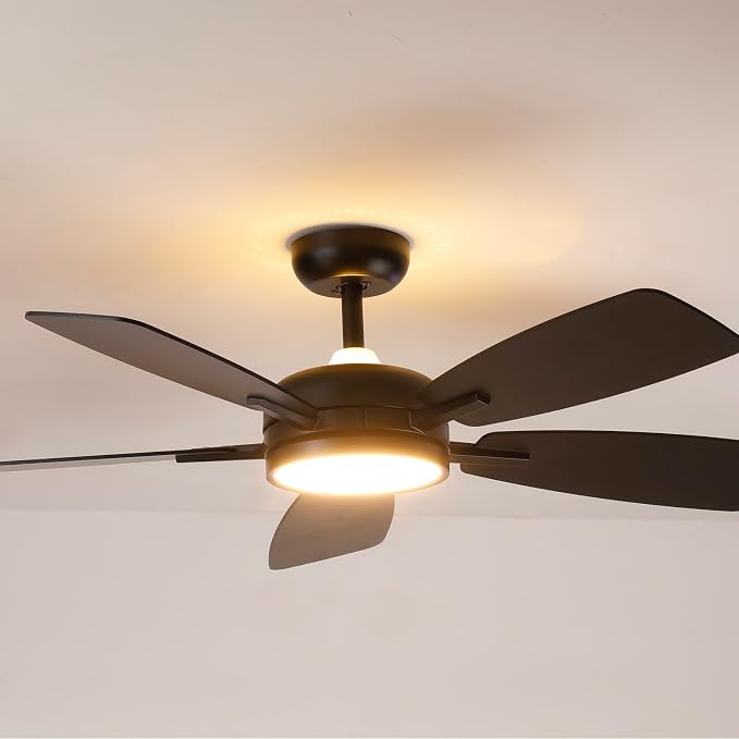 Ceiling Fans with Lights,46 Inch,Remote Control,Night Light,Dimmable,Reversible,Noiseless,6 Speeds,Timer,Black Modern Ceiling
