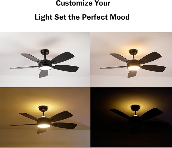 Ceiling Fans with Lights,46 Inch,Remote Control,Night Light,Dimmable,Reversible,Noiseless,6 Speeds,Timer,Black Modern Ceiling