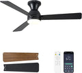 Ceiling Fans with Lights, 48 inch Low Profile Ceiling Fan with Light and Remote Control, Flush Mount, Reversible, 3CCT