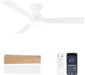 Ceiling Fans with Lights, 48 inch Low Profile Ceiling Fan with Light and Remote Control, Flush Mount, Reversible, 3CCT