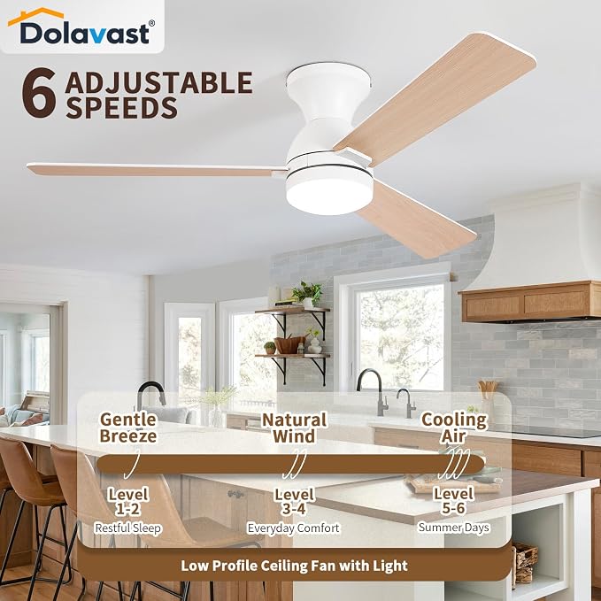 Ceiling Fans with Lights, 48 inch Low Profile Ceiling Fan with Light and Remote Control, Flush Mount, Reversible, 3CCT