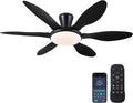 Ceiling Fans with Lights, 51 inch Modern Black Low Profile Ceiling Fan with Light and Remote App Control, Flush Mount, Quiet