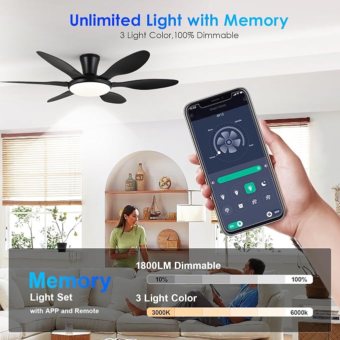 Ceiling Fans with Lights, 51 inch Modern Black Low Profile Ceiling Fan with Light and Remote App Control, Flush Mount, Quiet