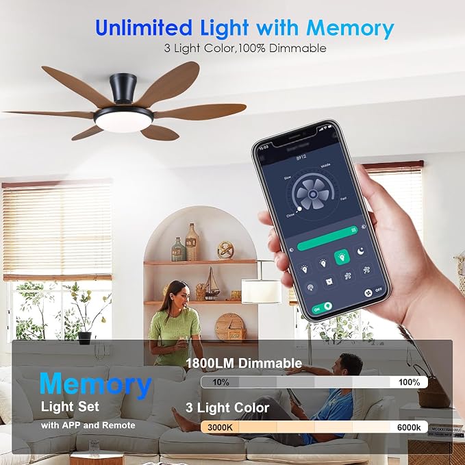 Ceiling Fans with Lights, 51 inch Modern Low Profile Ceiling Fan with Light and Remote App Control, Flush Mount, Quiet DC