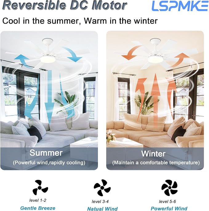 Ceiling Fans with Lights, 52 Inch Ceiling Fan with Light and Remote Control, Reversible DC Motor, 3CCT, Dimmable, Timer
