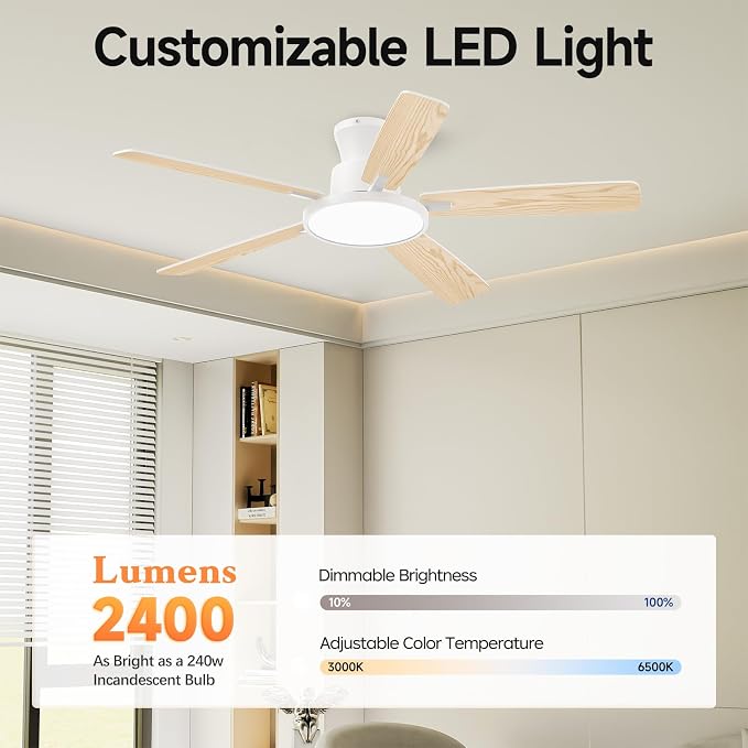 Ceiling Fans with Lights,52 inch,Quiet,Reversible Motor,Dimmable, Adjustable Color Temperature,6 Speeds,Timer, Low Profile