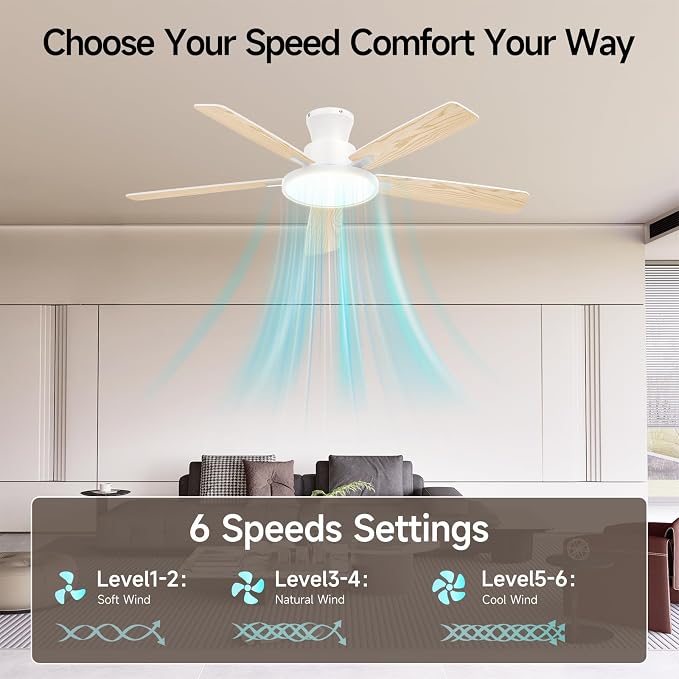 Ceiling Fans with Lights,52 inch,Quiet,Reversible Motor,Dimmable, Adjustable Color Temperature,6 Speeds,Timer, Low Profile