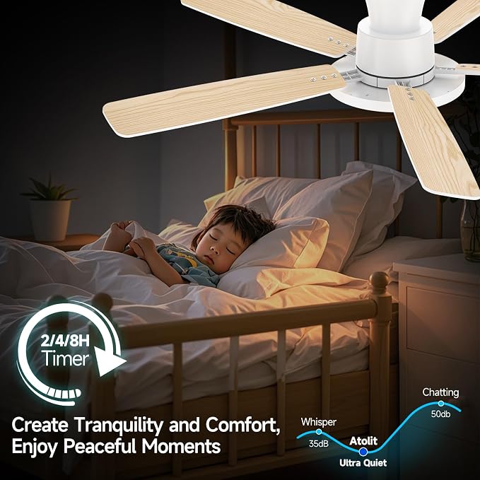 Ceiling Fans with Lights,52 inch,Quiet,Reversible Motor,Dimmable, Adjustable Color Temperature,6 Speeds,Timer, Low Profile