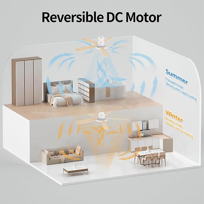Ceiling Fans with Lights,52 inch,Quiet,Reversible Motor,Dimmable, Adjustable Color Temperature,6 Speeds,Timer, Low Profile