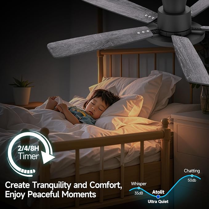 Ceiling Fans with Lights,52 inch,Quiet,Reversible Motor,Dimmable, Adjustable Color Temperature,6 Speeds,Timer, Low Profile