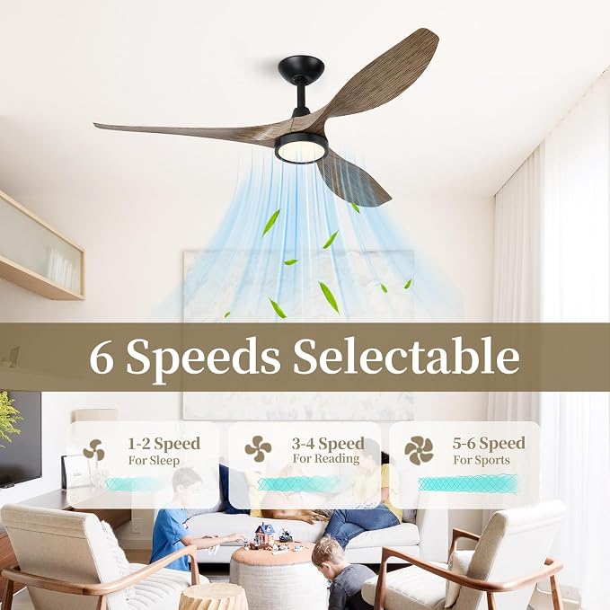 Ceiling Fans with Lights,52 Inch,Quiet & Strong Motor,6 Speeds,3CCT,Timer,Easy to Install,Black Modern Ceiling Fan for Living