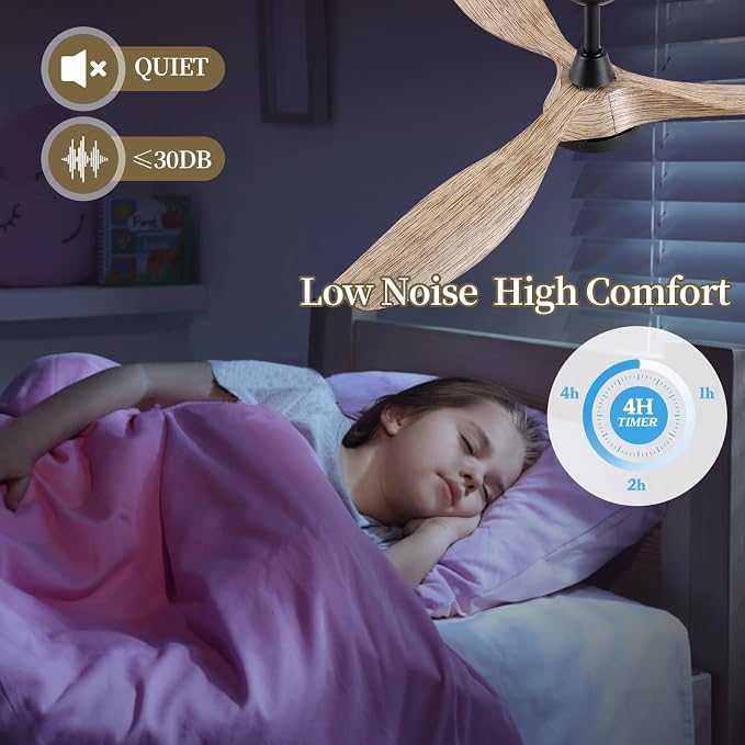Ceiling Fans with Lights,52 Inch,Quiet & Strong Motor,6 Speeds,3CCT,Timer,Easy to Install,Black Modern Ceiling Fan for Living