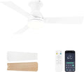 Ceiling Fans with Lights and Remote, 42 Inch Ceiling Fan with Light, Low Profile, Reversible, Dimmable LED, Flush Mount