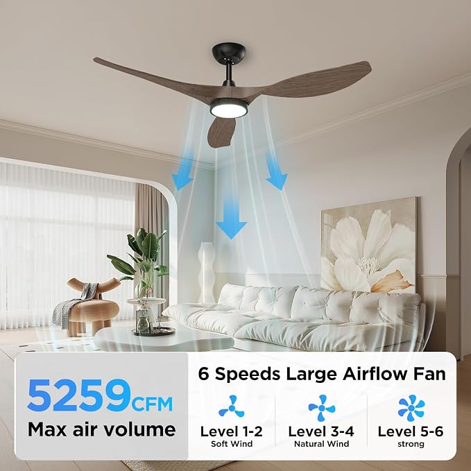 Ceiling Fans with Lights and Remote Control,Quiet Noiseless Reversible DC Motor,6 Speeds,Timers, 3 CCT, Indoor Use, Plastic