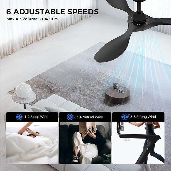 Ceiling Fans with Lights and Remote Control,Quiet Noiseless Reversible DC Motor,6 Speeds,Timers, 3 CCT, Indoor Use, Plastic