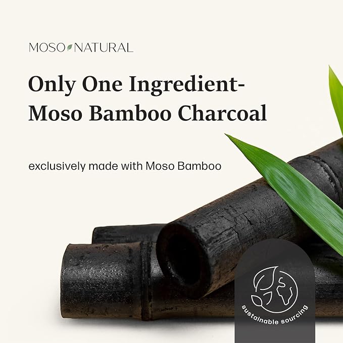 Charcoal Odor Absorber for Cars (2 Pack) 300g Bamboo Charcoal Air Purifying Bag, Unscented Odor Eliminator, alternate product