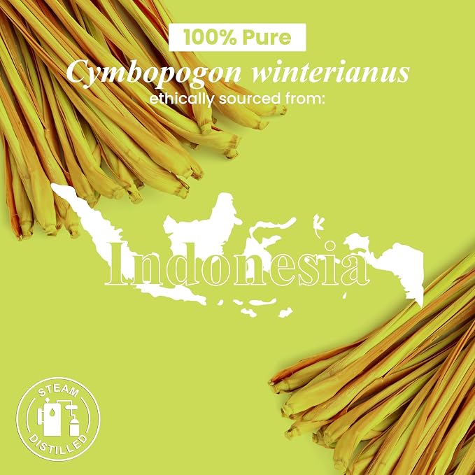 Citronella Essential Oil – 1 Fl Oz – 100% Pure and Natural – Premium Grade Essential Oil for Diffuser and Aromatherapy