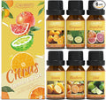 Citrus Essential Oils Set for Diffuser, Fragrance Oil | Sweet Orange, Bergamot, Lemon, Grapefruit, Mandarin Orange, product