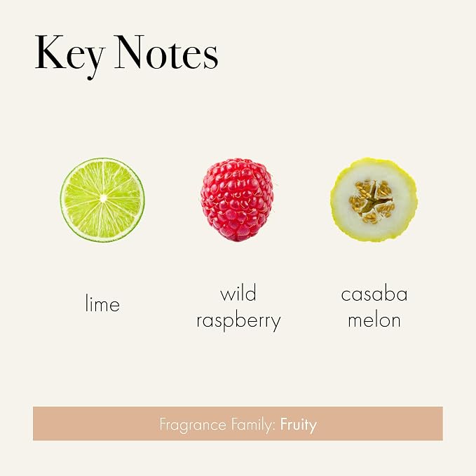 Classic Reed Diffuser, Paloma Melon - 6 oz - Up to 3 Months Fragrance Life - Reusable Glass Vessel - Natural Wood Reeds