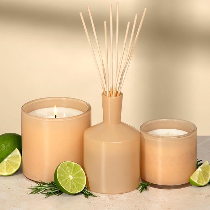 Classic Reed Diffuser, Paloma Melon - 6 oz - Up to 3 Months Fragrance Life - Reusable Glass Vessel - Natural Wood Reeds