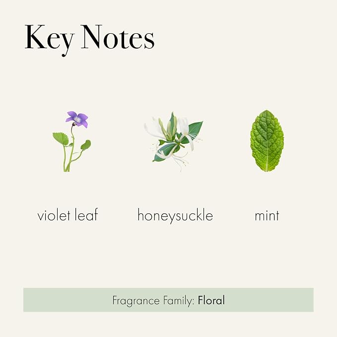 Classic Reed Diffuser, Wild Honeysuckle - 6 oz - Up to 3 Months Fragrance Life - Reusable Glass Vessel, alternate product