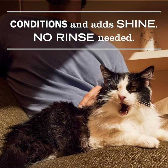 Clean Day Cat comfort Kit, includes Cat Deodorizing Spritz - White Peach and Pet Stain & Odor Fighter, alternate product view