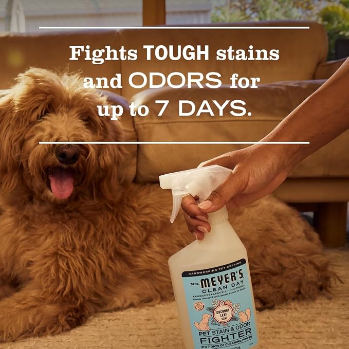 Clean Day Pet Cleaning Kit, includes Pet Stain & Odor Fighter 28oz and Odor Neutralizer 28oz, Coconut Leaf, alternate product