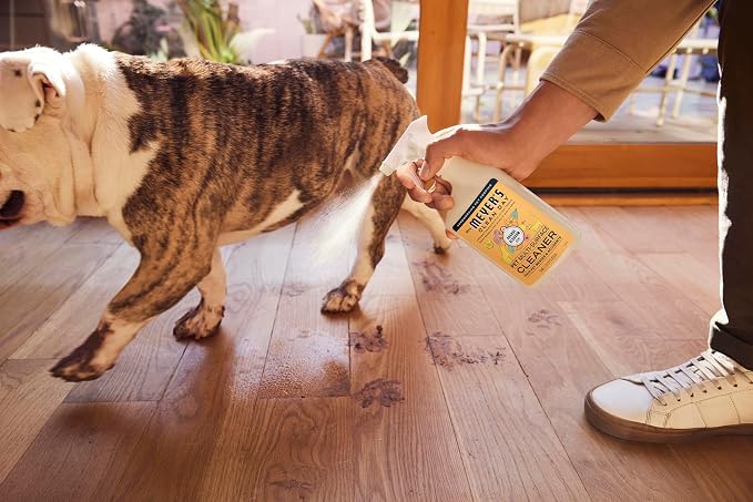 CLEAN DAY Pet Multi-Surface Cleaner,Orange Blossom Scent,16oz,(Pack of 2), alternate product view 9