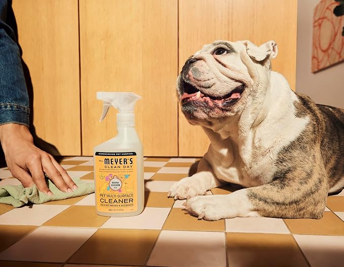 CLEAN DAY Pet Multi-Surface Cleaner, Orange Blossom Scent, 16oz, alternate view 10