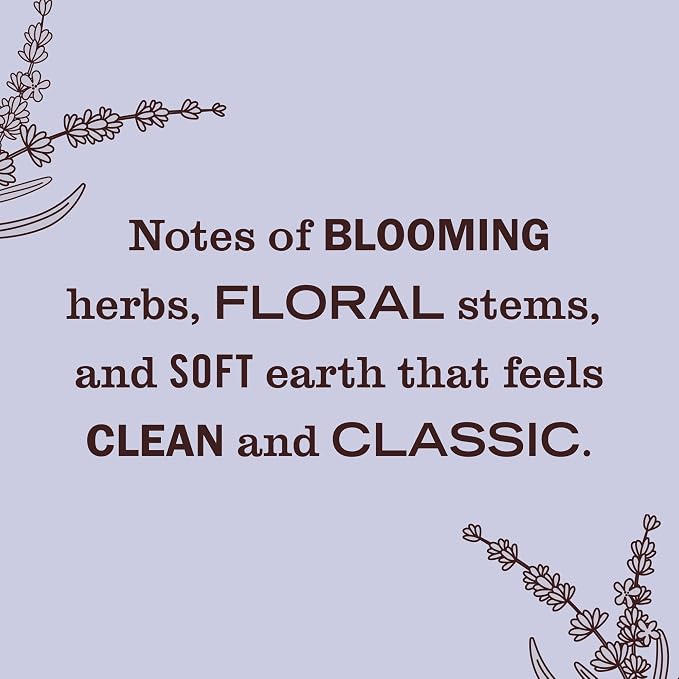 CLEAN DAY Premium Scented Oil Diffuser Kit, Lavender, 1 warmer and.67 fl oz refill, alternate product view 3