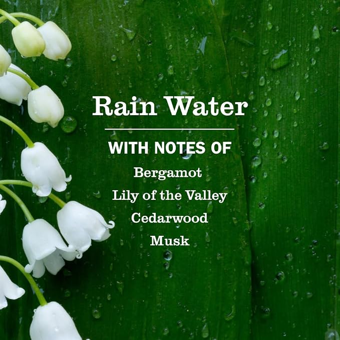 CLEAN DAY Soy Aromatherapy Candle, 35 Hour Burn Time, Made with Soy Wax and Essential Oils, Rain Water, 7.2 oz, alternate