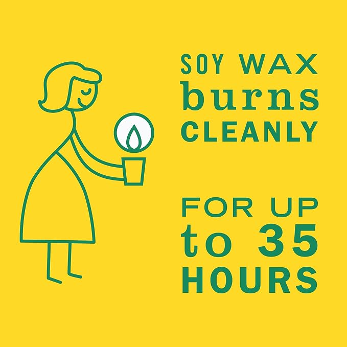 CLEAN DAY Soy Aromatherapy Candle,35 Hour Burn Time,Made with Soy Wax and Essential Oils,Honeysuckle,7.2 Oz,(Pack of 6)